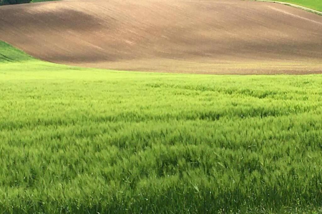 Havre De Paix Dans Le Jura Alsacien Avec Piscine Privee Externe De Mai A Septembre Βίλα Bendorf Εξωτερικό φωτογραφία