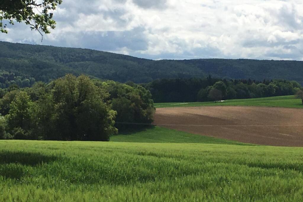 Havre De Paix Dans Le Jura Alsacien Avec Piscine Privee Externe De Mai A Septembre Βίλα Bendorf Εξωτερικό φωτογραφία